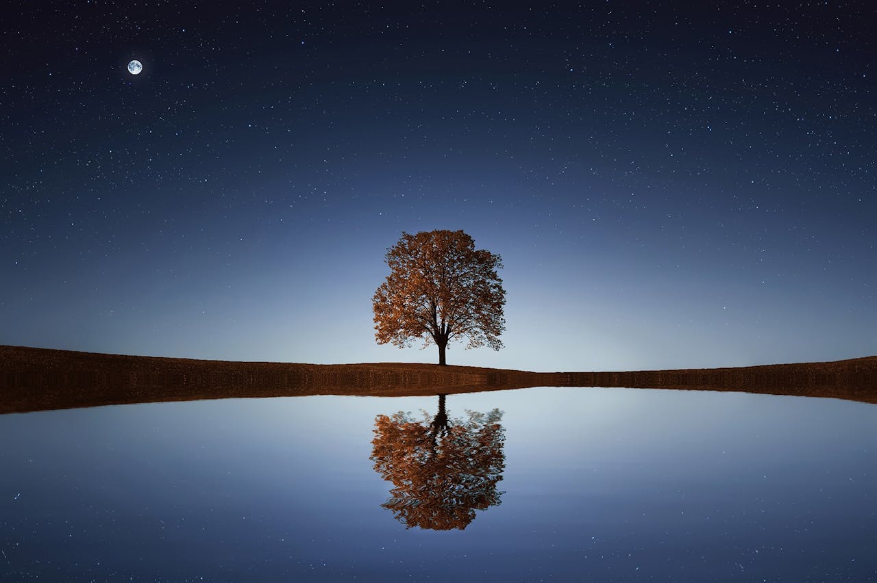 Cognitive Behavioral Therapy (CBT) for Sleep and Insomnia